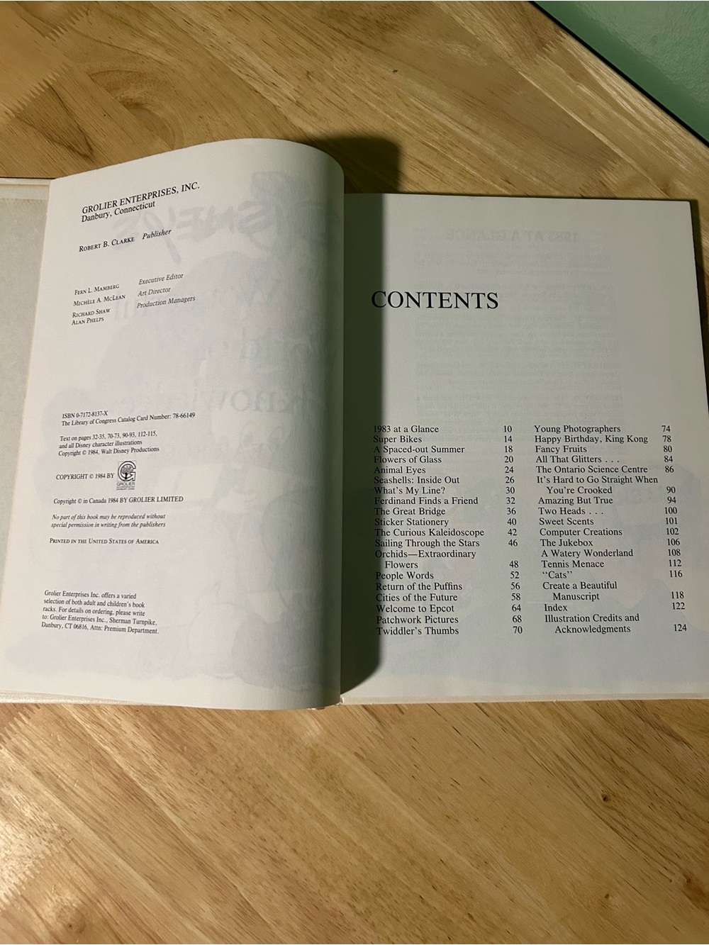 Disney Year Book 1984 Hardcover with Multicolor Character Art - Picture 3 of 12